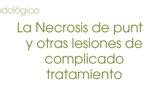 La Necrosis de punta y otras lesiones de complicado tratamiento