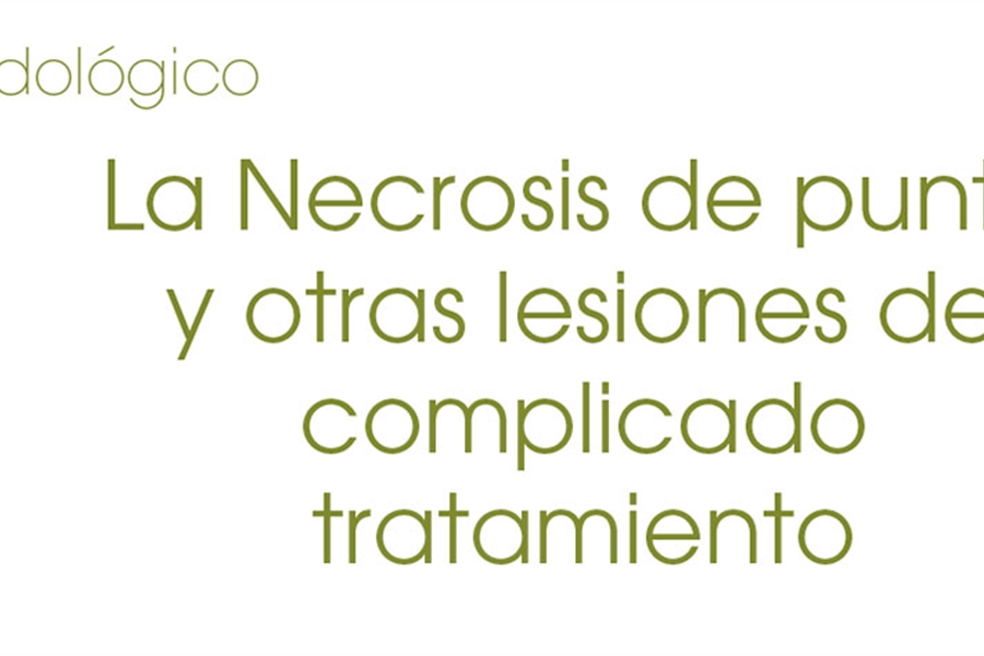 La Necrosis de punta y otras lesiones de complicado tratamiento