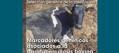 Seleccin gentica de la raza Frisona: Marcadores genticos asociados a la paratuberculosis bovina