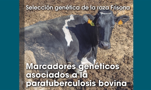 Seleccin gentica de la raza Frisona: Marcadores genticos asociados a...