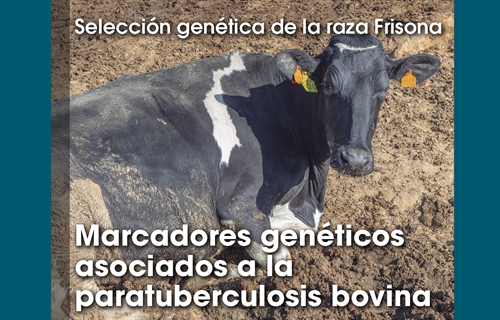 Seleccin gentica de la raza Frisona: Marcadores genticos asociados a...