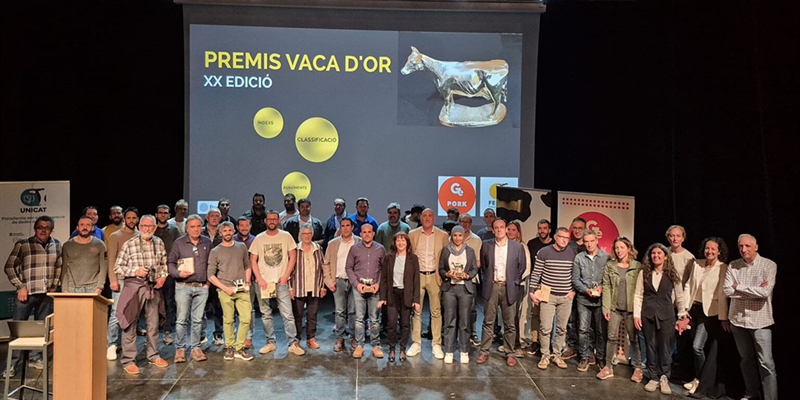 Ramaderia Anibal (AFTP), Can Thi de Baix (AFRIGI) y Can Barrina (AFO), ganaderas ms destacadas de los Premios Vaca DOr 2025 de FEFRIC