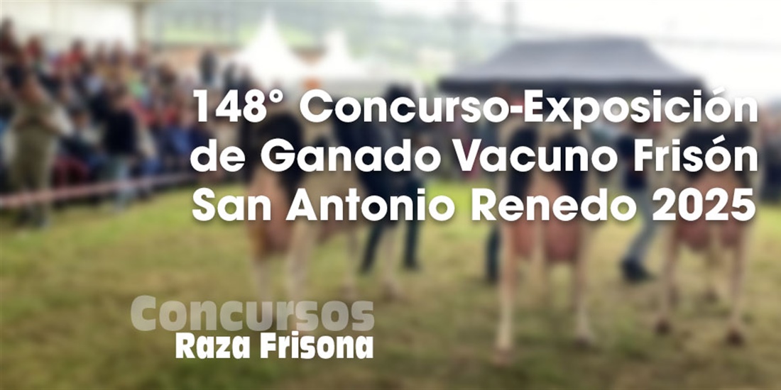148 Concurso Exposicin Ganado Vacuno Frisn San Antonio Renedo 2025