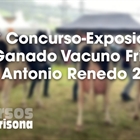 148 Concurso Exposicin Ganado Vacuno Frisn San Antonio Renedo 2025