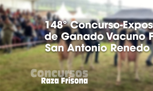 148 Concurso Exposicin Ganado Vacuno Frisn San Antonio Renedo 2025