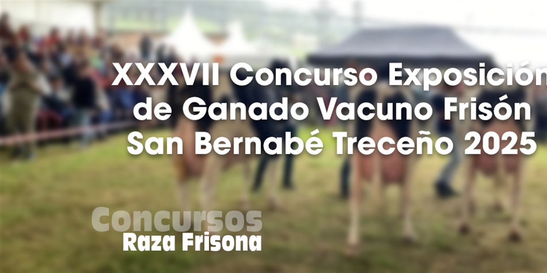 XXXVII Concurso Exposicin de Ganado Vacuno Frisn San Bernab Treceo 2025