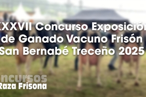 XXXVII Concurso Exposicin de Ganado Vacuno Frisn San Bernab Treceo 2025