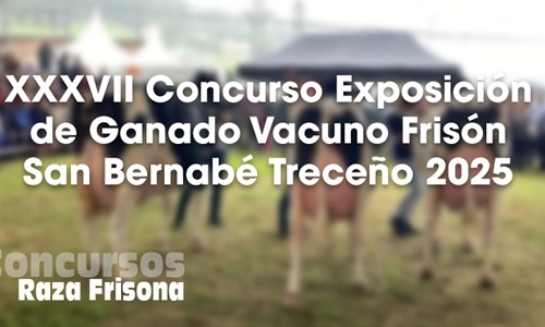 XXXVII Concurso Exposicin de Ganado Vacuno Frisn San Bernab Treceo 2025