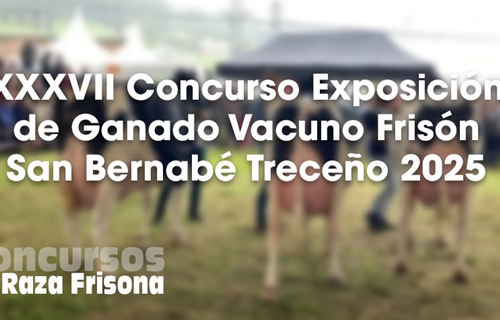 XXXVII Concurso Exposicin de Ganado Vacuno Frisn San Bernab Treceo 2025
