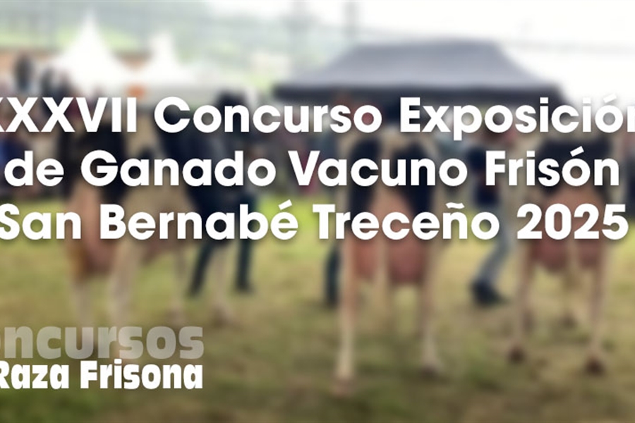 XXXVII Concurso Exposicin de Ganado Vacuno Frisn San Bernab Treceo 2025