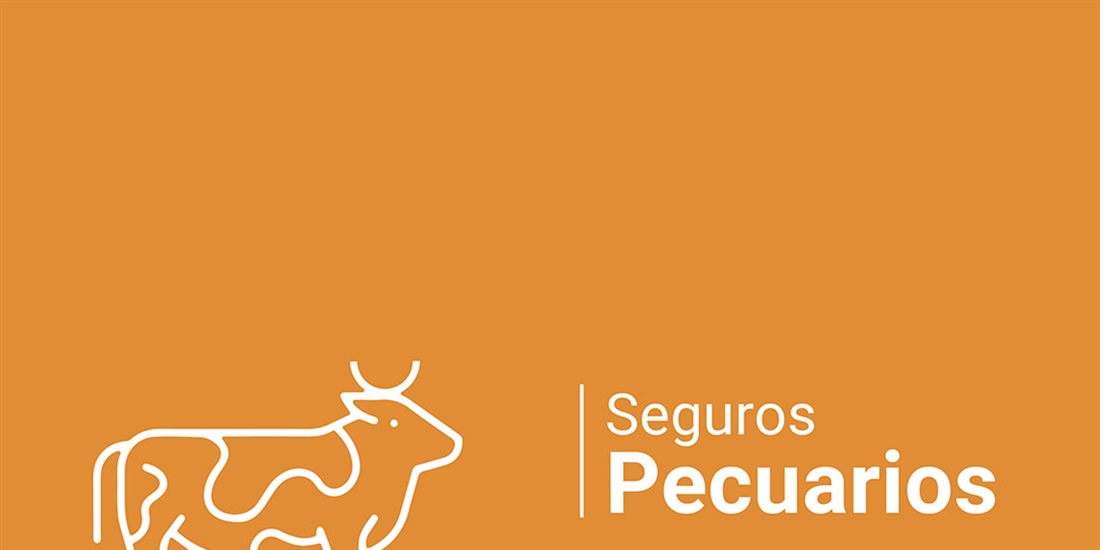 Agroseguro presenta el Plan 2025 de seguros pecuarios