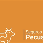 Agroseguro presenta el Plan 2025 de seguros pecuarios