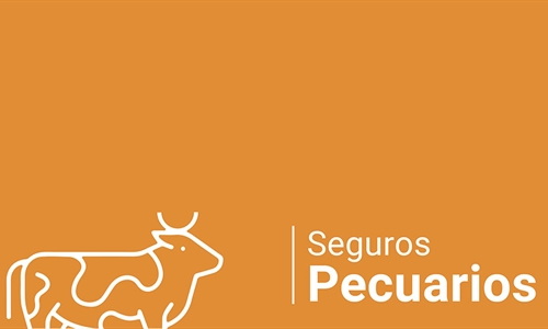 Agroseguro presenta el Plan 2025 de seguros pecuarios