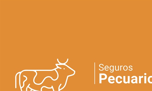 Agroseguro presenta el Plan 2025 de seguros pecuarios