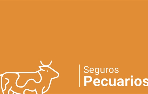 Agroseguro presenta el Plan 2025 de seguros pecuarios