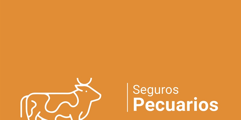 Agroseguro presenta el Plan 2025 de seguros pecuarios