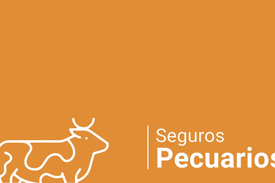 Agroseguro presenta el Plan 2025 de seguros pecuarios