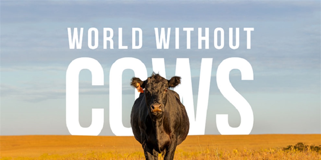 #RealidadGanadera: Realmente queremos vivir en un mundo sin vacas?