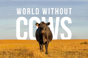 #RealidadGanadera: Realmente queremos vivir en un mundo sin vacas?
