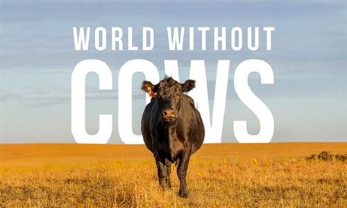 #RealidadGanadera: Realmente queremos vivir en un mundo sin vacas?