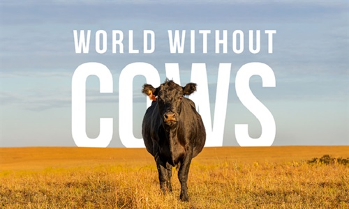 #RealidadGanadera: Realmente queremos vivir en un mundo sin vacas?