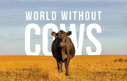 #RealidadGanadera: Realmente queremos vivir en un mundo sin vacas?