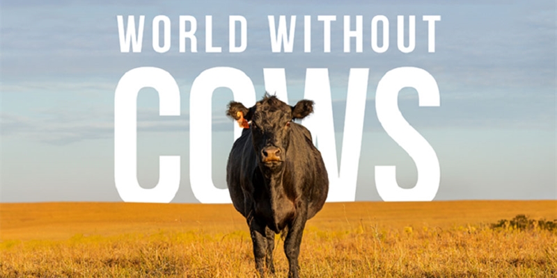 #RealidadGanadera: Realmente queremos vivir en un mundo sin vacas?