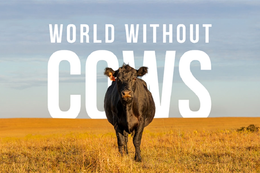 #RealidadGanadera: Realmente queremos vivir en un mundo sin vacas?