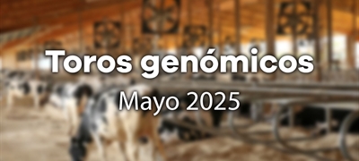 Nuevos toros genmicos con Prueba Oficial: Evaluacin genmica Mayo 2025