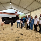 Cudaa Aply Delta-Lambda Et, Vaca Gran Campeona en el Concurso Frisn de Treceo 2025