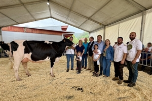 Cudaa Aply Delta-Lambda Et, Vaca Gran Campeona en el Concurso Frisn de Treceo 2025