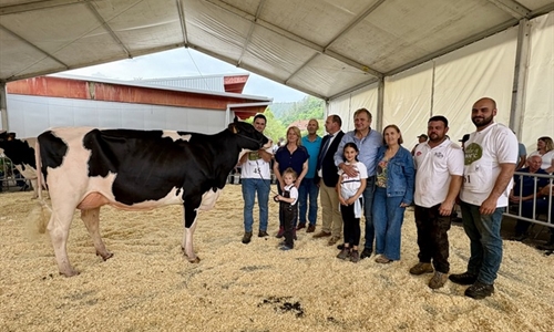 Cudaa Aply Delta-Lambda Et, Vaca Gran Campeona en el Concurso Frisn...