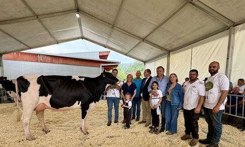 Cudaa Aply Delta-Lambda Et, Vaca Gran Campeona en el Concurso Frisn...