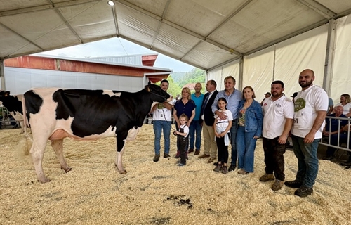 Cudaa Aply Delta-Lambda Et, Vaca Gran Campeona en el Concurso Frisn...