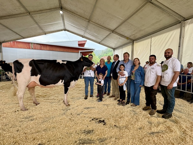 Cudaa Aply Delta-Lambda Et, Vaca Gran Campeona en el Concurso Frisn...