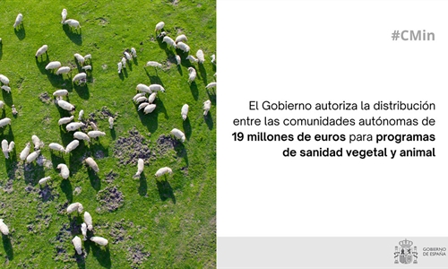 El Gobierno autoriza la distribucin entre las comunidades autnomas de...