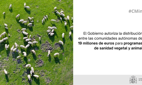 El Gobierno autoriza la distribucin entre las comunidades autnomas de...
