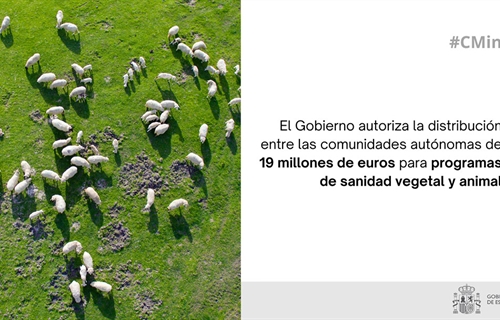 El Gobierno autoriza la distribucin entre las comunidades autnomas de...