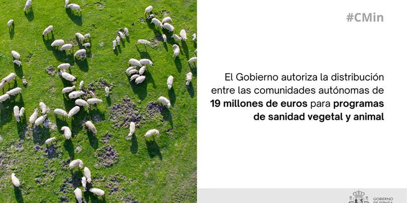 El Gobierno autoriza la distribucin entre las comunidades autnomas de 19 millones de euros para programas de sanidad vegetal y animal