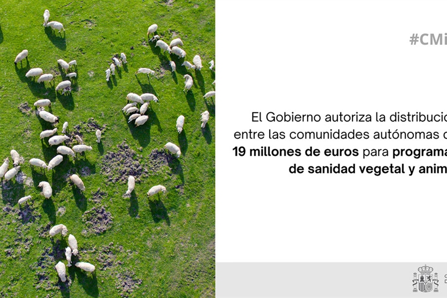 El Gobierno autoriza la distribucin entre las comunidades autnomas de...