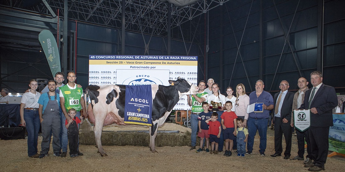 Venturo Hotjob Romilita (Casa Venturo), Vaca Gran Campeona de Asturias 2025