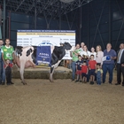 Venturo Hotjob Romilita (Casa Venturo), Vaca Gran Campeona de Asturias 2025