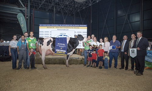 Venturo Hotjob Romilita (Casa Venturo), Vaca Gran Campeona de Asturias 2025
