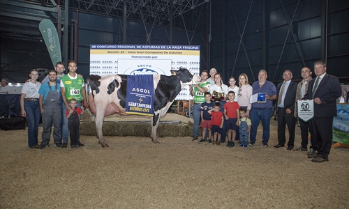 Venturo Hotjob Romilita (Casa Venturo), Vaca Gran Campeona de Asturias 2025