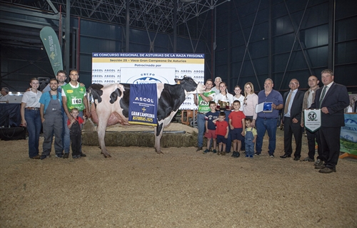 Venturo Hotjob Romilita (Casa Venturo), Vaca Gran Campeona de Asturias 2025
