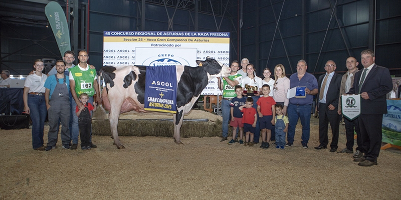 Venturo Hotjob Romilita (Casa Venturo), Vaca Gran Campeona de Asturias 2025