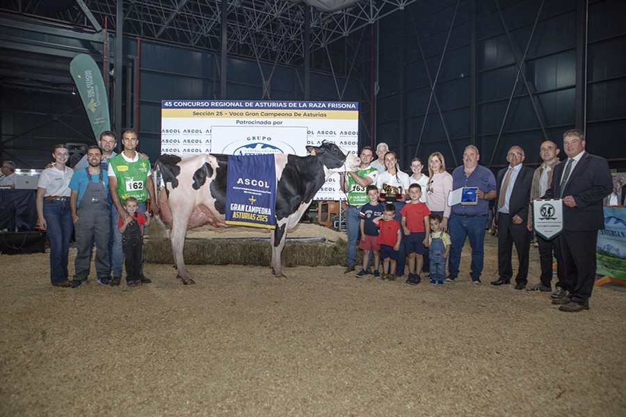 Venturo Hotjob Romilita (Casa Venturo), Vaca Gran Campeona de Asturias 2025