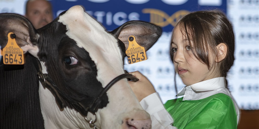 Otra mirada al Concurso Regional de Asturias de la Raza Frisona 2025