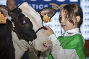 Otra mirada al Concurso Regional de Asturias de la Raza Frisona 2025