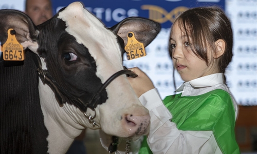 Otra mirada al Concurso Regional de Asturias de la Raza Frisona 2025